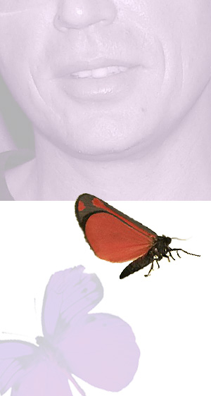 ohne-bart-butterfly-rainbow