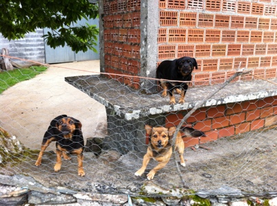 20120606-145650.jpg