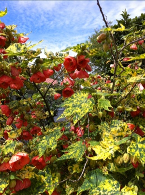 20120606-145831.jpg