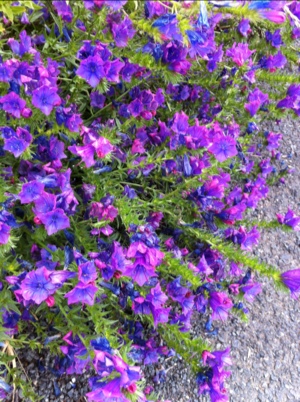 20120606-145902.jpg