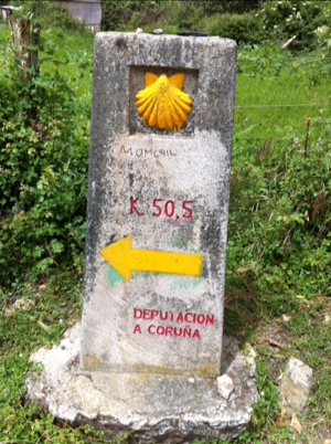 20120606-200830.jpg