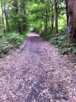 20120606-200900.jpg