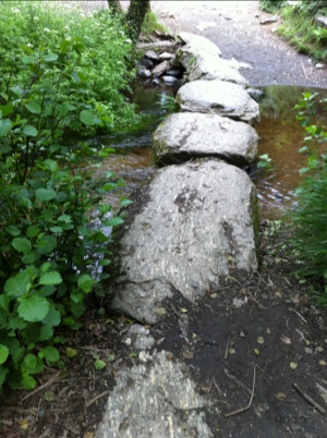 20120606-200908.jpg