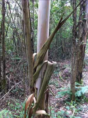 20120606-200919.jpg